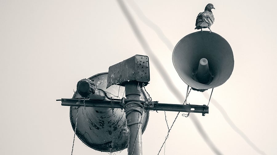 <div class="paragraphs"><p>Image showing loudspeakers. For representational purposes.</p></div>