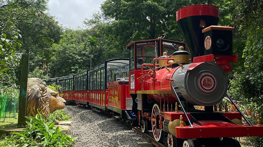 <div class="paragraphs"><p>The Van Rani toy train.</p></div>