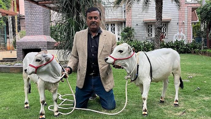 <div class="paragraphs"><p>Hebbal resident Arun Kumar M with calves, Gowri and Shankara, at his independent house.</p></div>