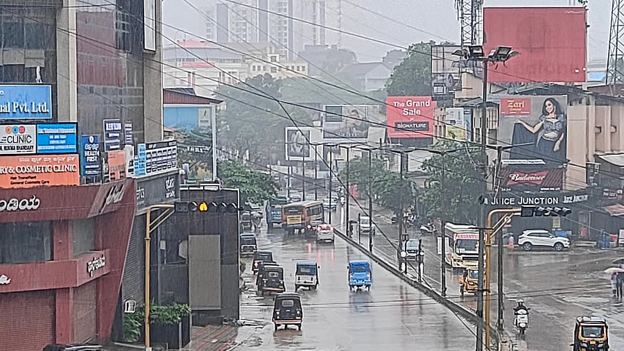 <div class="paragraphs"><p>With heavy rain lashing Mangaluru, authorities have declared a holiday for schools on Saturday.  </p></div>