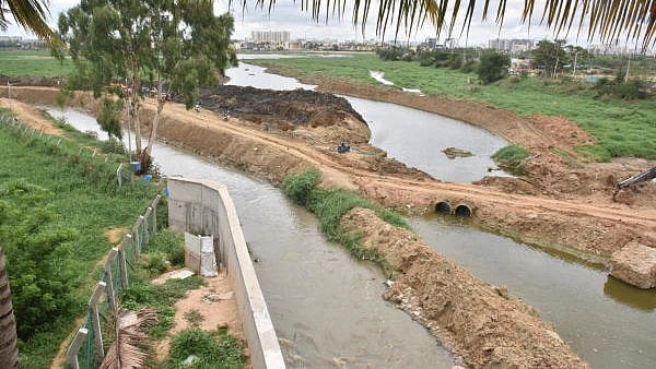 <div class="paragraphs"><p>The report mentioned the sewage in Bellandur and Agara lakes, algae bloom in Varthur lake(in the picture) as well as pathetic condition of Yele Mallappa Shetty lake.</p></div>