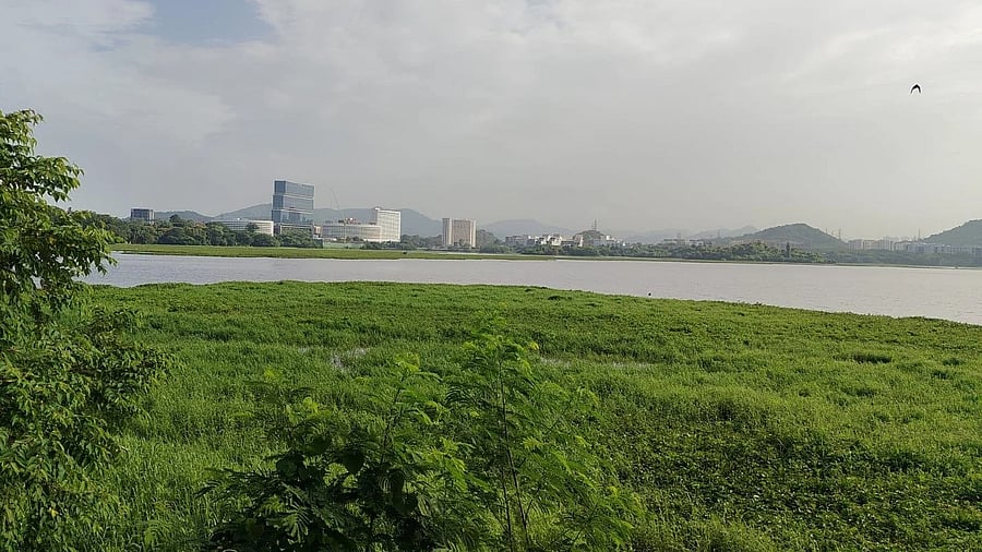 <div class="paragraphs"><p>Powai Lake</p></div>