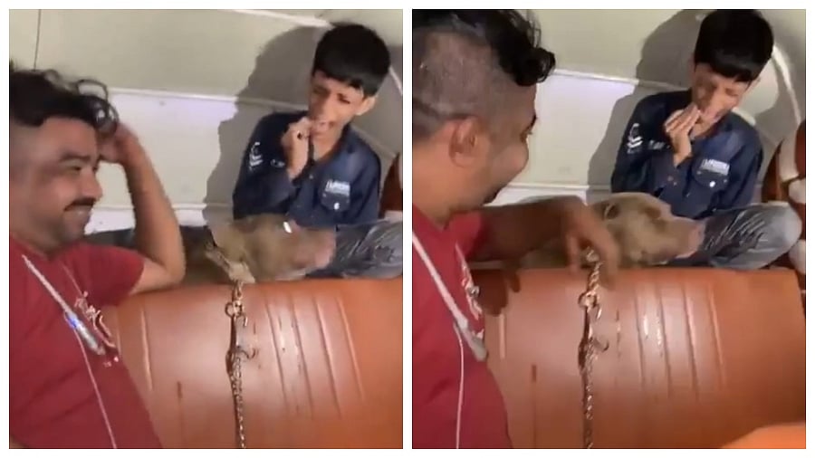 <div class="paragraphs"><p>Video screengrab</p></div>