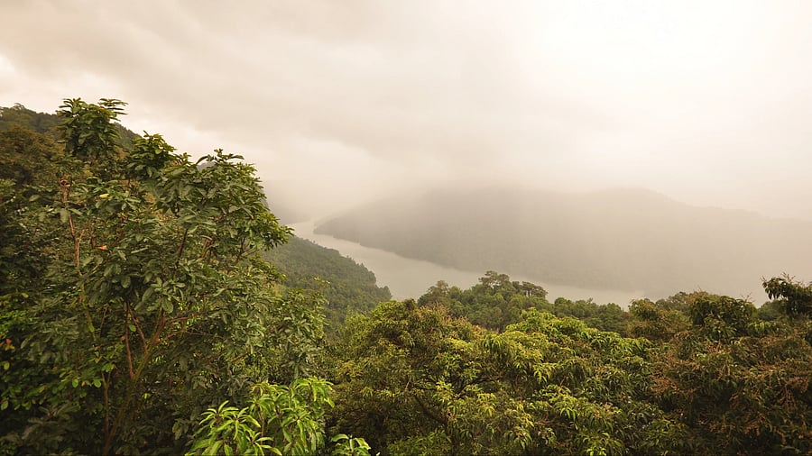 <div class="paragraphs"><p>A breathtaking view of Sharavathi valley. Vast stretch of forest land has either been encroached or illegally diverted by officers in Sagar taluk, Shivamogga district, without taking Centre’s approval, according to conservationist Girish Achar.</p></div>