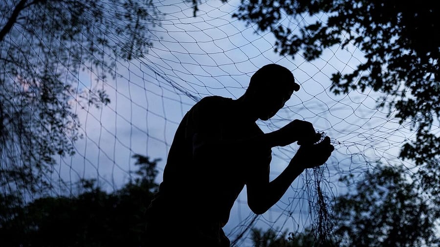 <div class="paragraphs"><p>Ukrainian service member installs an anti-drone net </p></div>