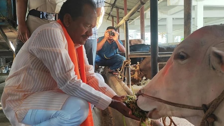 <div class="paragraphs"><p>BJP MLA Prabhu Chauhan.</p></div>