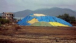 <div class="paragraphs"><p>A view of the iron ore piled up at Belekeri port. </p></div>