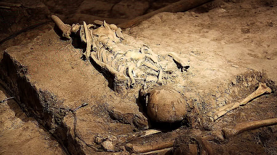 <div class="paragraphs"><p>Image showing human remains. For representational purposes.</p></div>