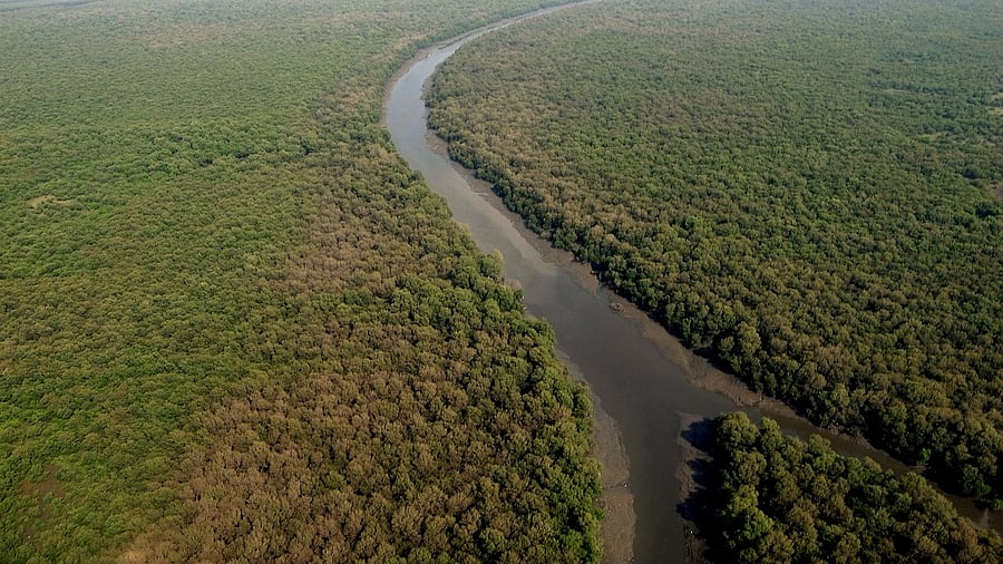 <div class="paragraphs"><p>Over time, it aims to foster local champions through a proposed fellowship program, ensuring sustained dialogue and action on conservation at the grassroots level. </p></div>