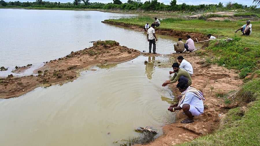 <div class="paragraphs"><p>Ramapada Kere at B.Bommasandra in Chikkaballapur district. Local community came together to revive several lakes in the district.</p></div>