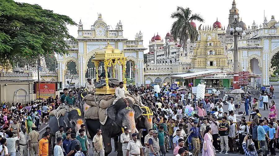 <div class="paragraphs"><p>Abhimanyu carries wooden howdah near the North gate of Mysuru Palace</p><p></p></div>