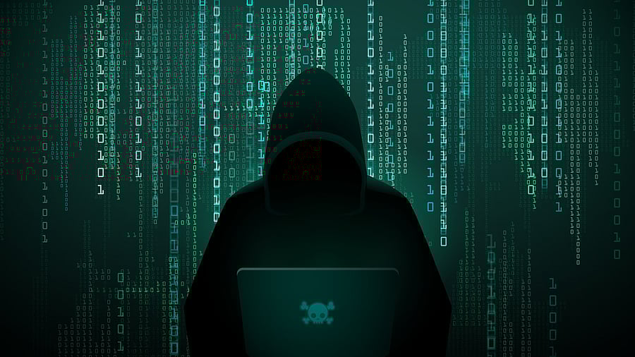 <div class="paragraphs"><p>Image for representation.</p></div>