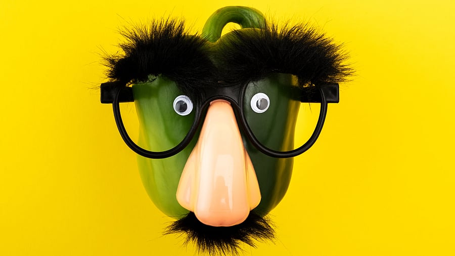 The science behind our sense of smell...