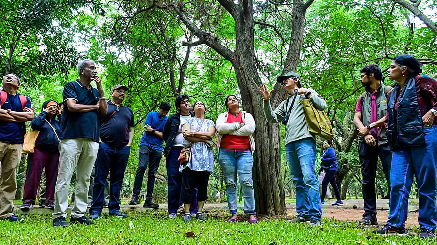 <div class="paragraphs"><p>A guide leads a group during 'Cubbon Walks' on Sunday. </p></div>