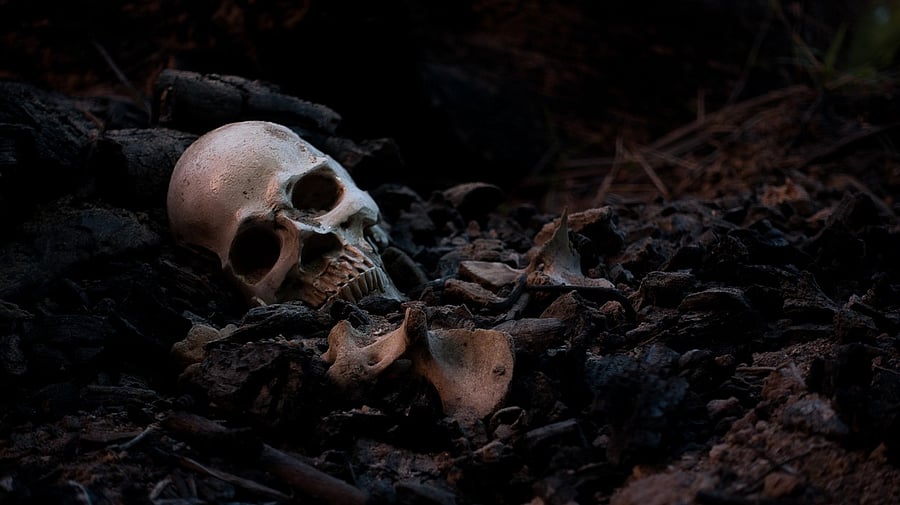 <div class="paragraphs"><p>Image showing skeletal remains. For representational purposes.</p></div>