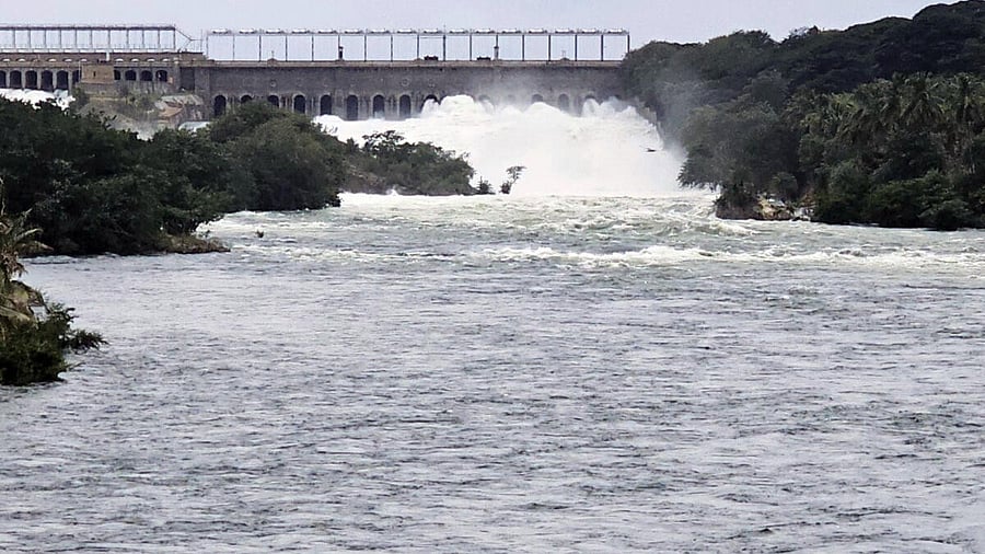 <div class="paragraphs"><p>Temporary gates have been erected at the roads bound for bathing ghat in Srirangapatna town and locked to prevent people from going near the river.</p><p><br></p></div>
