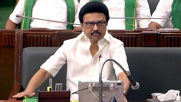 <div class="paragraphs"><p>Tamil Nadu&nbsp;Chief Minister M K Stalin</p></div>