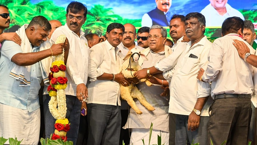 <div class="paragraphs"><p>Karnataka CM Siddaramaiah</p></div>