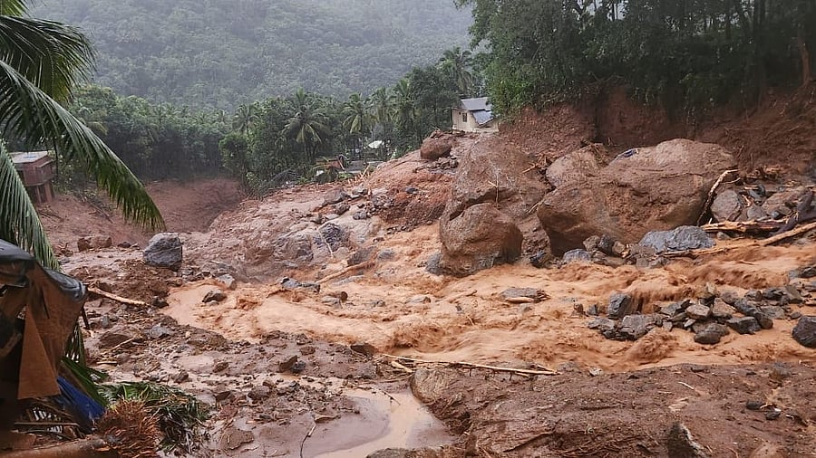 <div class="paragraphs"><p>Survivors of the landslide visited the calamity ravaged spots.&nbsp;</p></div>