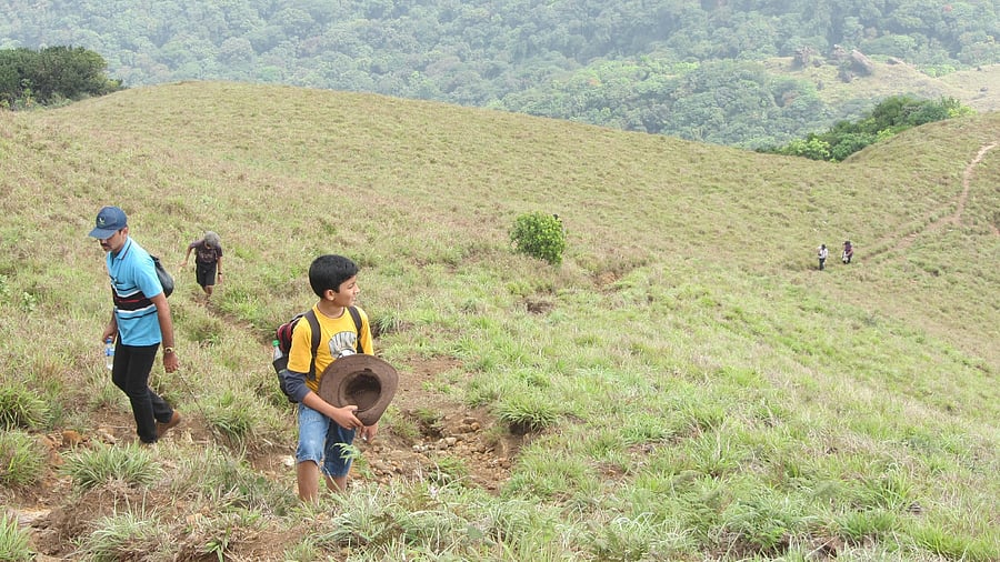 <div class="paragraphs"><p>Trekking in Tadiandamol hills</p></div>