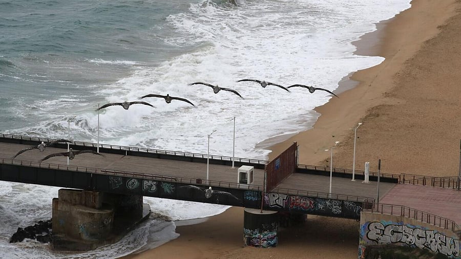 <div class="paragraphs"><p>Birds fly following a tsunami advisory generated by local authorities, after an earthquake struck off Russia's Far Eastern Kamchatka Peninsula, prompting warnings and evacuations stretching across at the South Pacific, in Vina del Mar, Chile, July 30, 2025.</p></div>