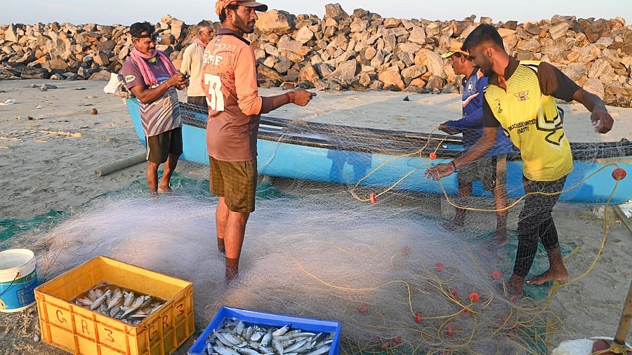 <div class="paragraphs"><p>The 61-day seasonal fishing ban ended on Thursday.&nbsp;</p></div>