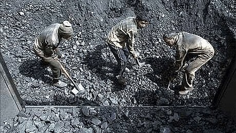Gujarat Announces Rs 3 Lakh Ex Gratia and Unlimited Medical Aid for Silicosis Patients