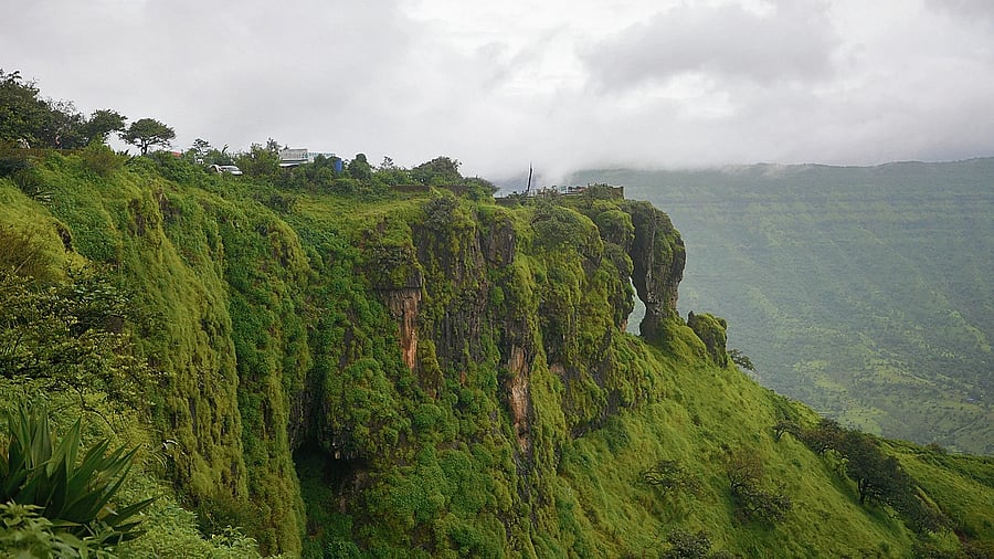 <div class="paragraphs"><p>Tranquil vistas of Mahabaleshwar, where lush hills meet serene nature. </p></div>
