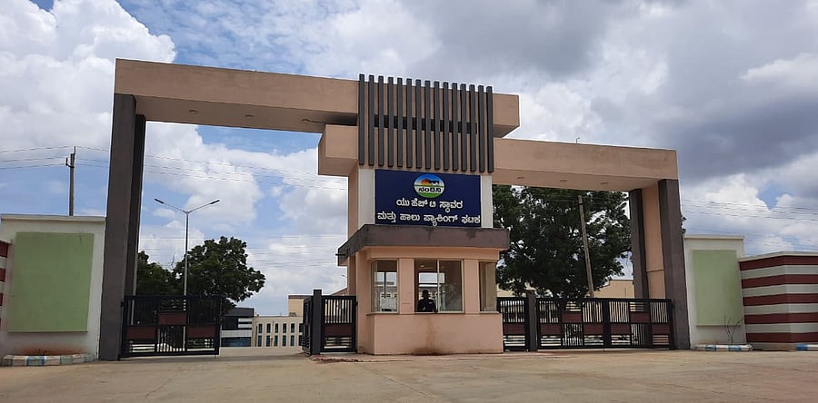 <div class="paragraphs"><p>The entrance of UHT plant located at Jangamanakoppa in Haveri taluk. </p></div>