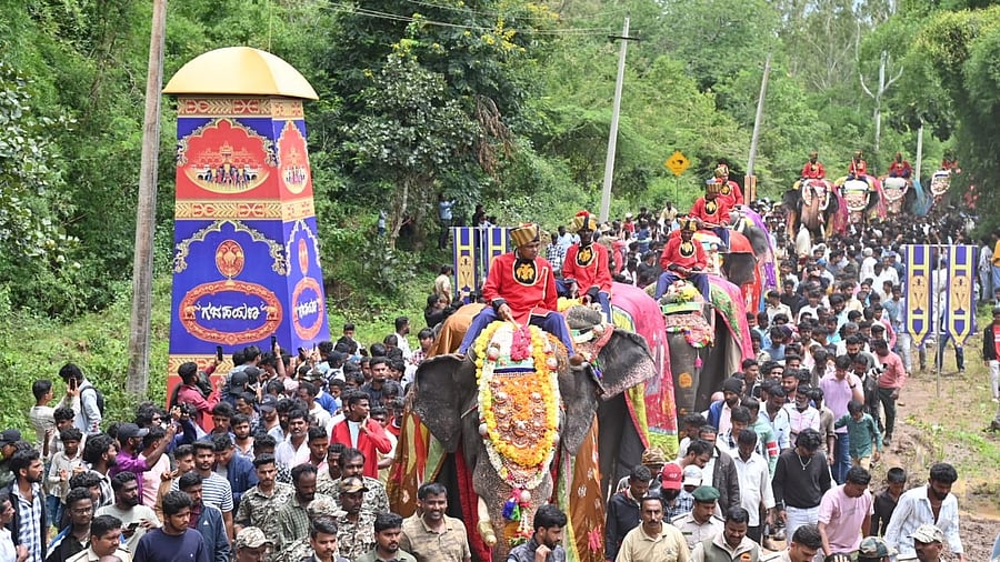 <div class="paragraphs"><p>A large number of people accompany the Dasara jumbos, during their march, at Veeranahosahalli, Nagarahole Wildlife Sanctuary, Hunsur taluk, Mysuru district, on Monday.&nbsp;<br></p></div>
