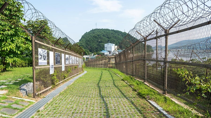 <div class="paragraphs"><p>The Demilitarised Zone (DMZ), the 248-kilometre-long, four-kilometre-wide buffer zone serving as the de facto border between the two Koreas, was established after an armistice agreement at the end of the Korean War in 1953.</p></div>