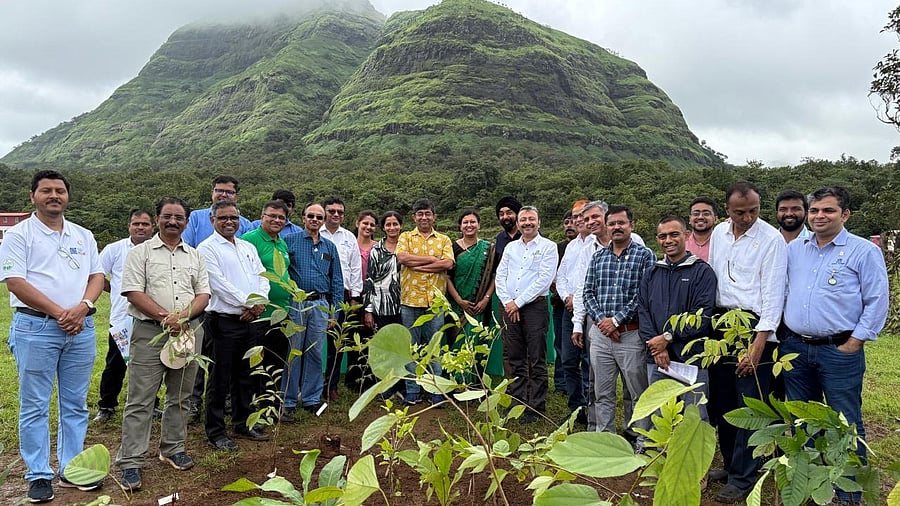 <div class="paragraphs"><p>Miyawaki plantation in Mulshi.</p></div>