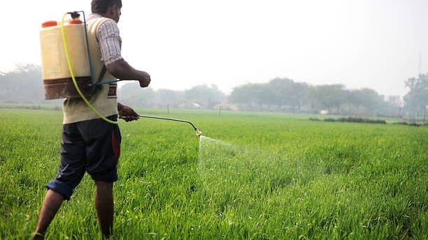 India's Urea Production Hits 275.75 Lakh Tons in FY26 April-February Period