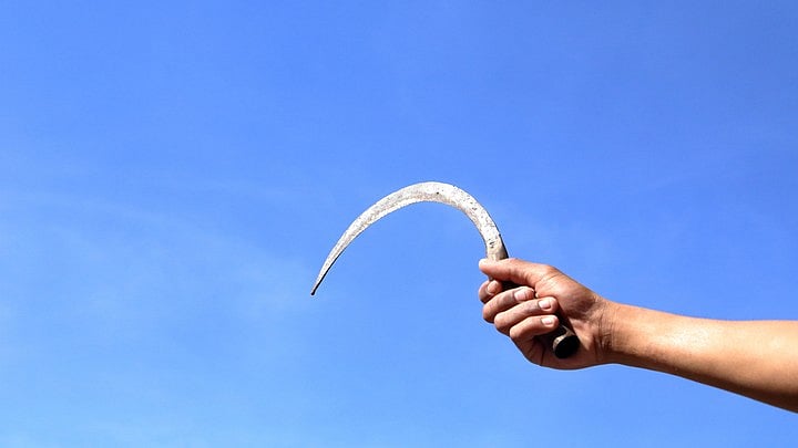 <div class="paragraphs"><p>Image for representational purposes.</p></div>