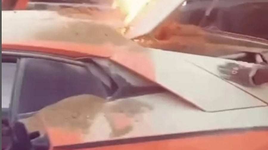 A screengrab from the video of the incident. 
Credit: gautamsinghania99/Instagram