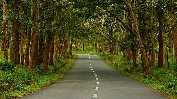 <div class="paragraphs"><p>Image for representational purposes.</p></div>