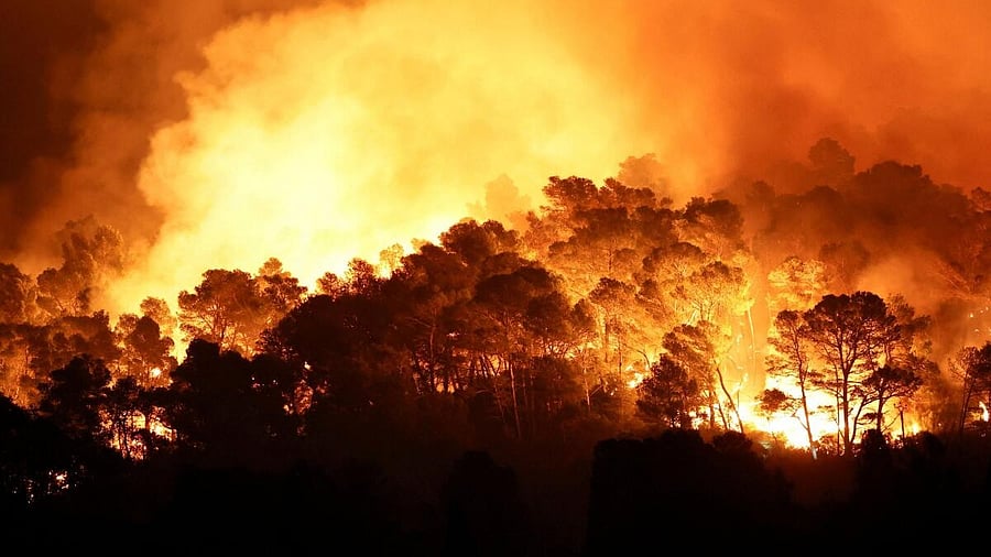 <div class="paragraphs"><p>Trees burn during a wildfire near in Saint-Laurent-de-la-Cabrerisse, southern France.</p></div>