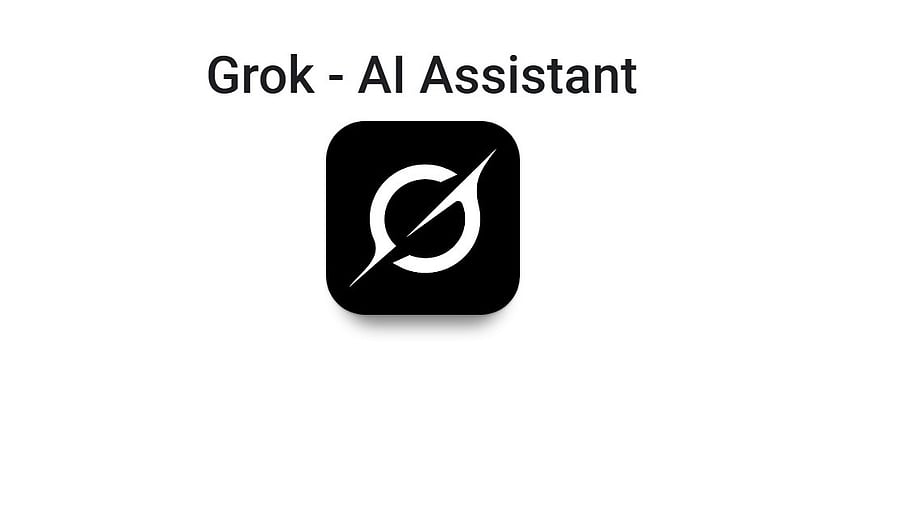 <div class="paragraphs"><p>Grok AI Assistant.</p></div>