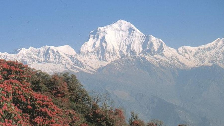 <div class="paragraphs"><p>The Himalayas. </p></div>