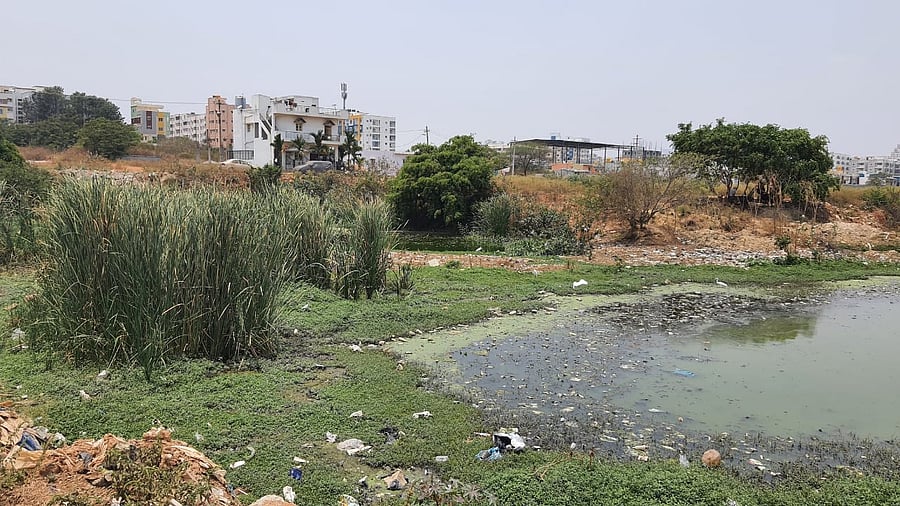A file photo of Shikaripalya Lake.