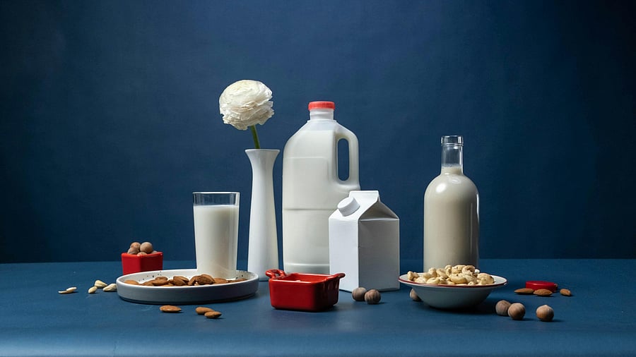 <div class="paragraphs"><p>Dairy brands for 2025.</p></div>