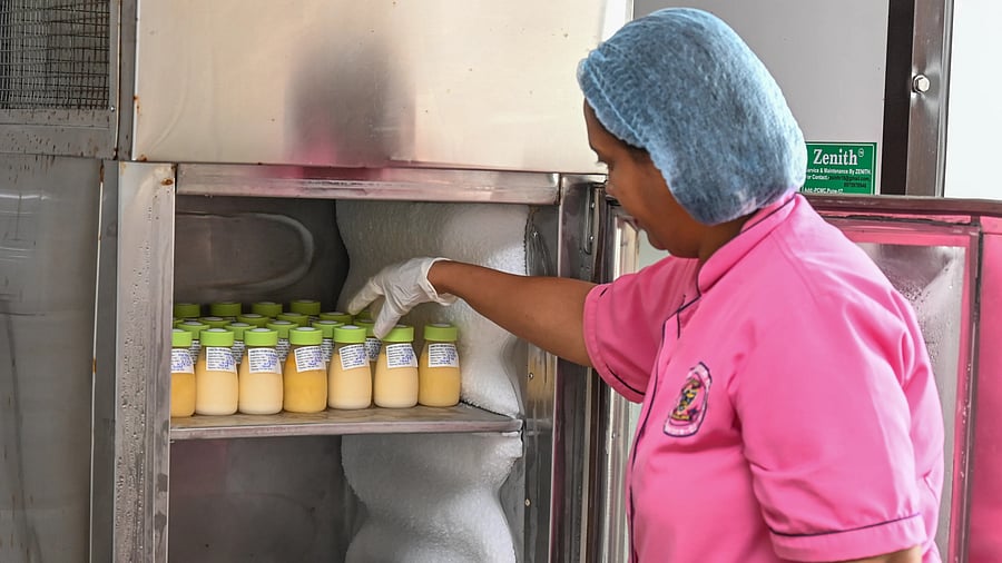 <div class="paragraphs"><p>Amruthadhaare, Karnataka’s first state-run human milk bank located at Vani Vilas Hospital in Bengaluru. </p></div>