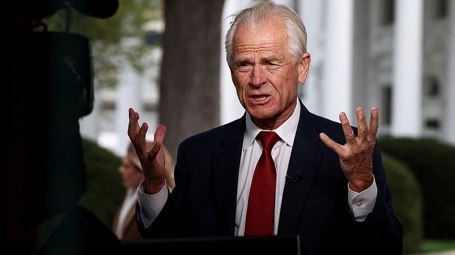 <div class="paragraphs"><p>White House Trade Adviser Peter Navarro</p></div>