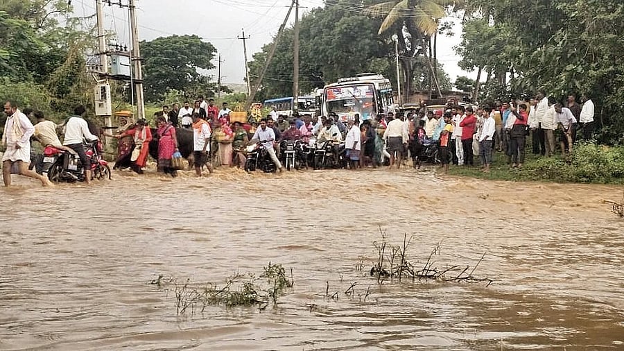 <div class="paragraphs"><p>Devotees, heading to Yellammanagudda, brave a flooded road between Ugargol and Yellammanagudda, at Saundatti taluk in Belagavi district on Friday. DH Photo</p></div>