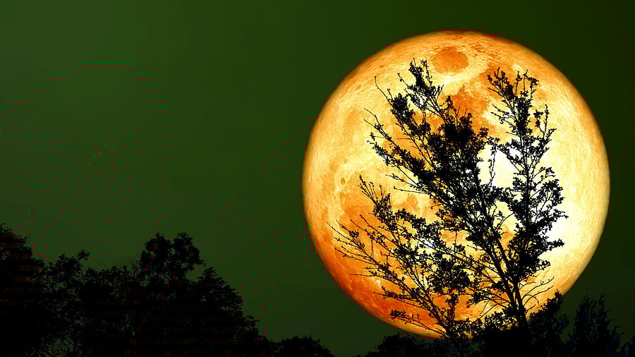 <div class="paragraphs"><p>Representative image for Sturgeon moon</p></div>