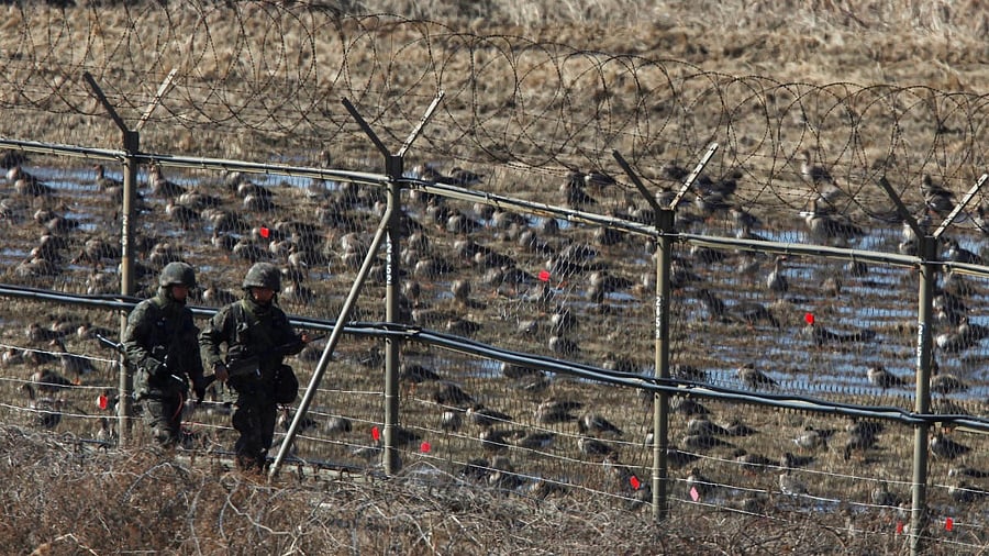 <div class="paragraphs"><p>South Korean soldiers walk past birds as they patrol along a barbed-wire fence near the demilitarized zone in Paju.</p></div>