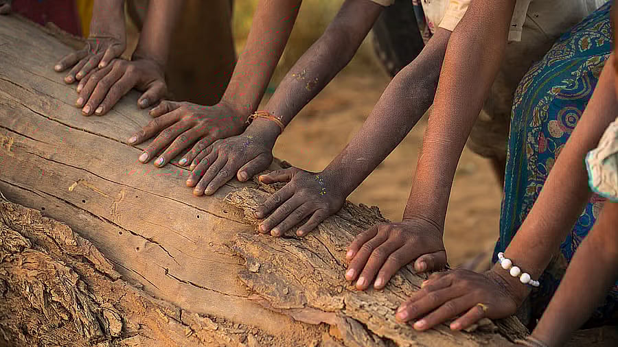 <div class="paragraphs"><p>Image for representational purposes.</p></div>