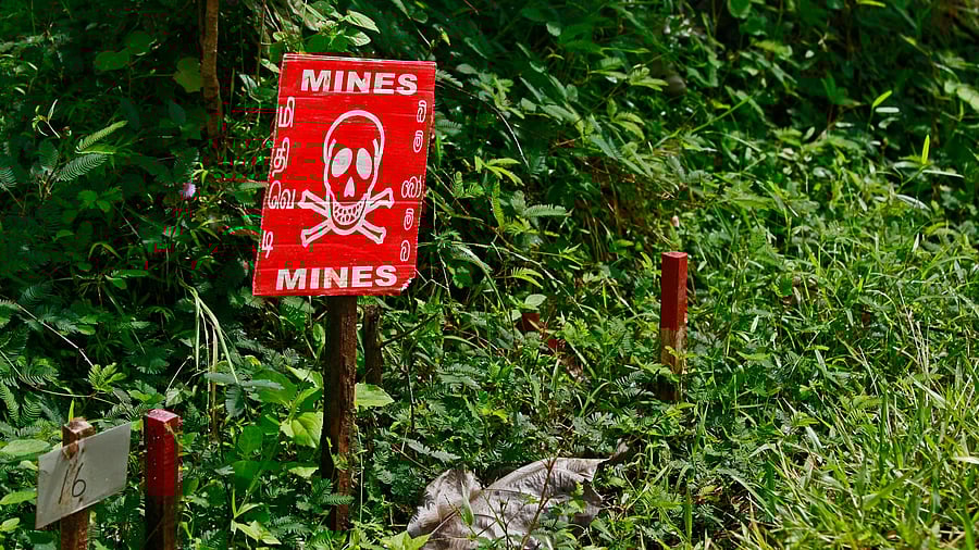 <div class="paragraphs"><p>Image for representation.</p></div>