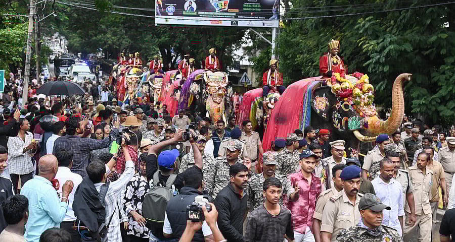 <div class="paragraphs"><p>People gather in huge number to witness the mini procession of the first batch of nine caparisoned Dasara Elephants taken from Aranya Bhavan to Mysuru Palace premises on Sunday evening.</p></div>