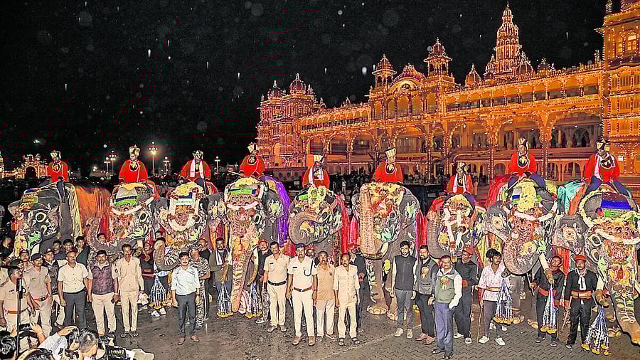 <div class="paragraphs"><p>DCF, Wildlife, Mysuru division I B Prabhu Gowda with Dasara Elephants infront of Illuminated Mysuru Palace after they were accorded grand traditional welcome to Palace premises on Sunday evening. </p></div>